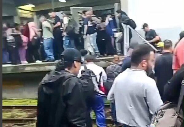 Queda de árvore nos trilhos interrompe circulação de trens da ViaMobilidade