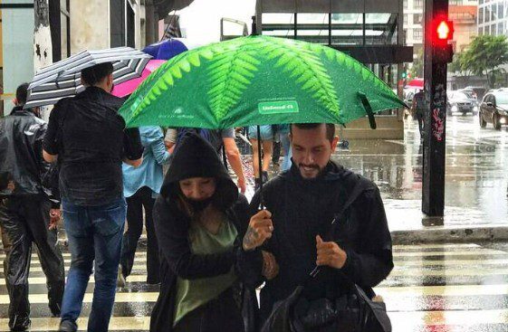 Meteorologia prevê período de chuva forte a partir de domingo, 8/6